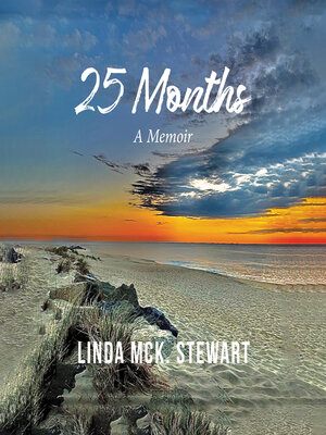 cover image of 25 Months